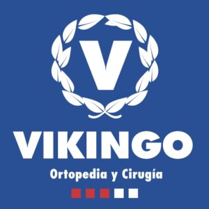 VIKINGO LOGO